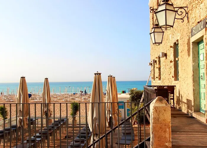 Warm Yellow * 阿尔布费拉