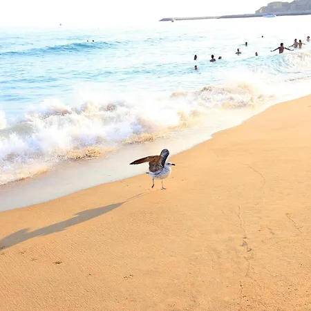 Appartement Warm Yellow