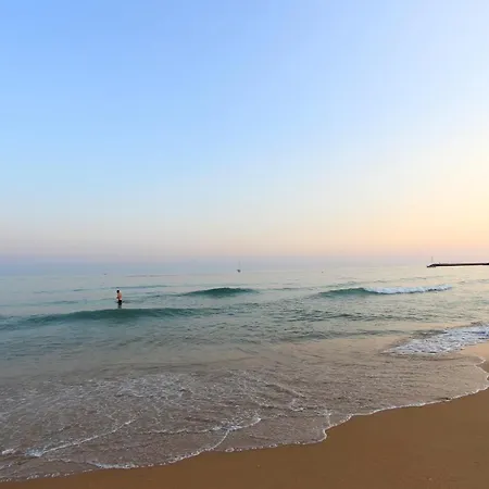 Warm Yellow Albufeira