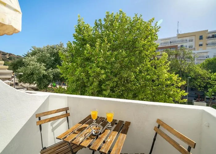 Warm Yellow 알부페이라