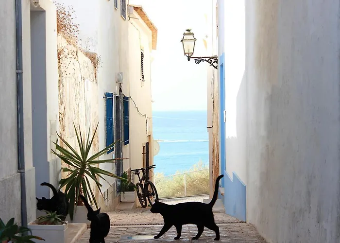 Warm Yellow 아파트 알부페이라