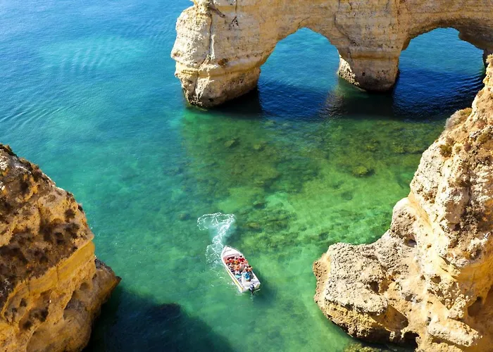 Warm Yellow 알부페이라