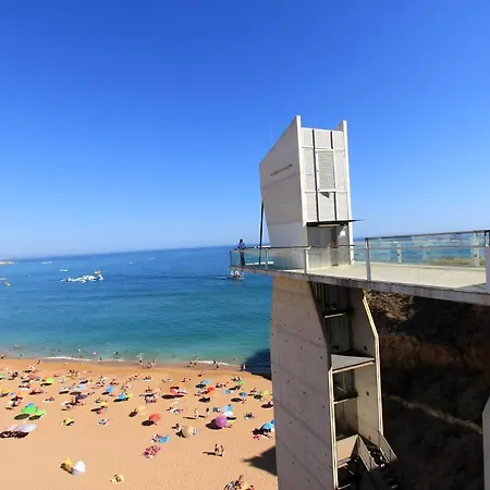 Warm Yellow شقة البوفيرا